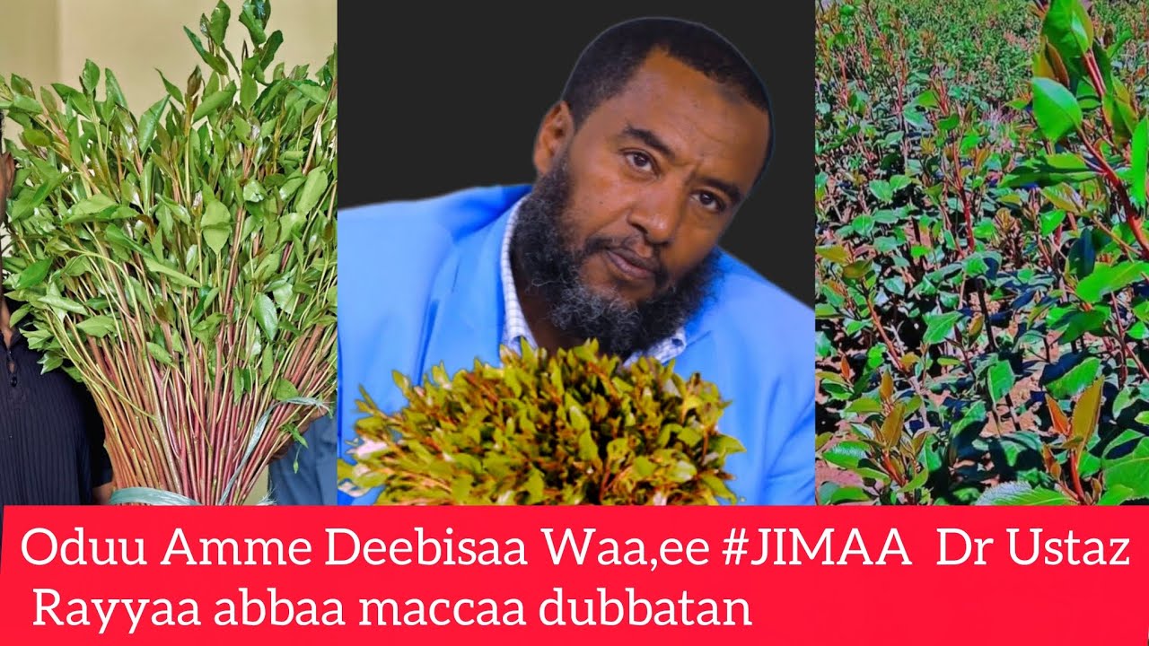 Oduu Amme Deebisa Waa,ee #Jimaa Dr Ustaz Rayyaa abbaa maccaa waan Ajaa,ibaa #ethiopia#jimaa #oro 