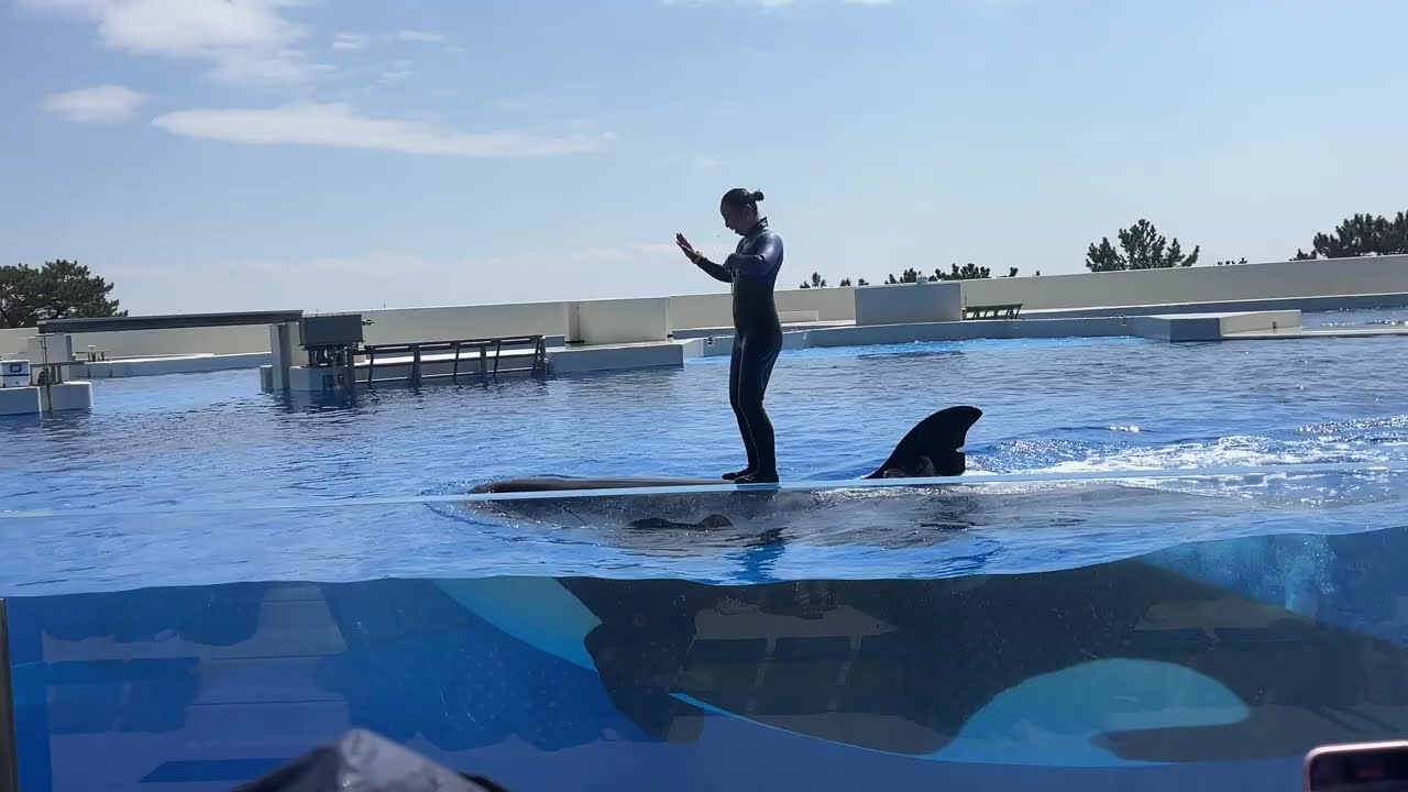 須磨　シーワールド　001
