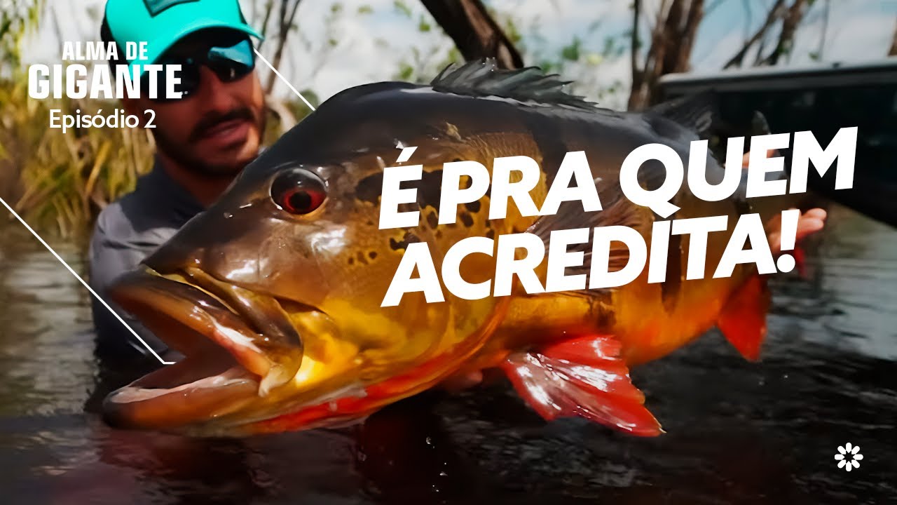 TUCUNARÉ DE 10KG: A EMOÇÃO DE PESCAR GIGANTES NO AMAZONAS