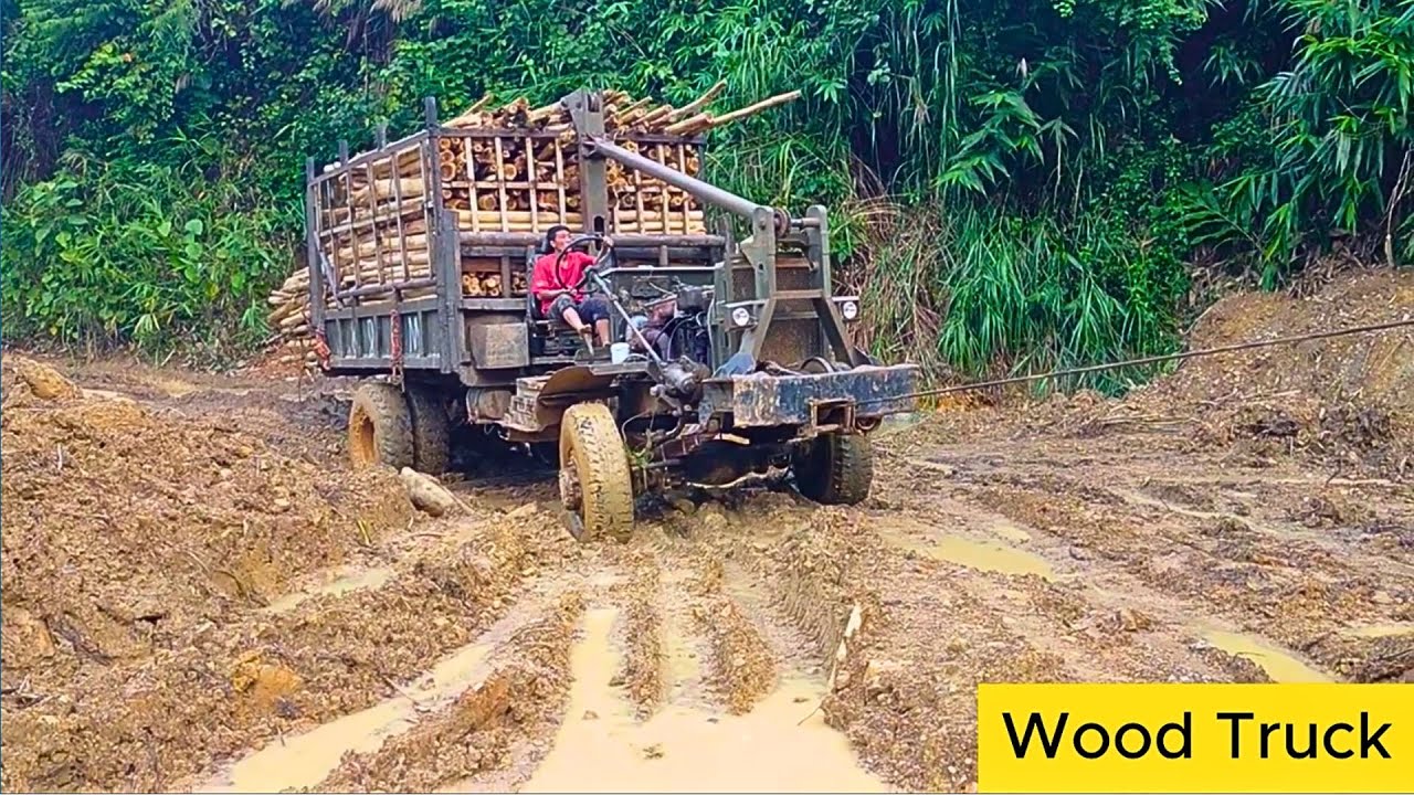 Overcoming mud and wind - vietnamese trucks carrying acacia wood | Wood Truck
