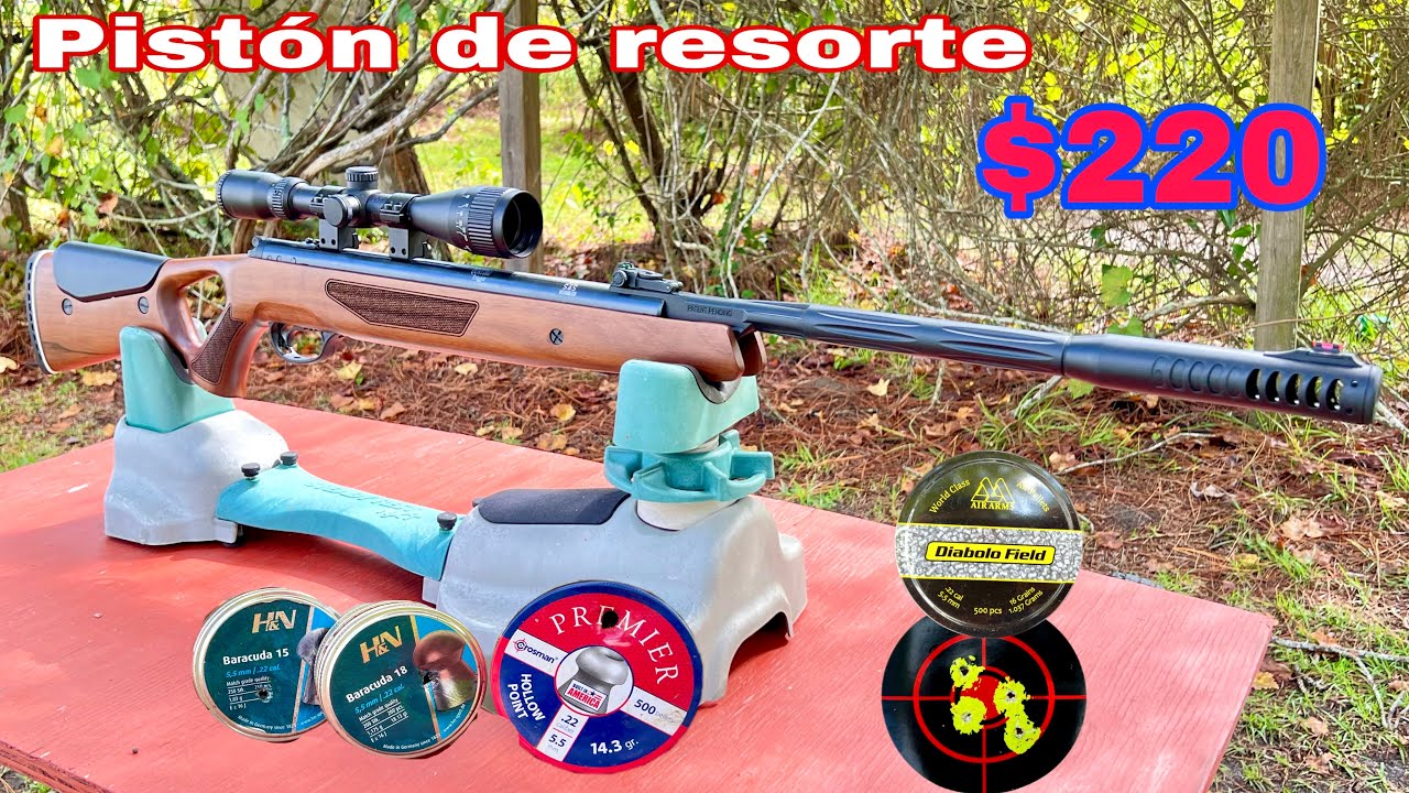 Hatsan Mod 65 Review Y Desempeño final(español latino