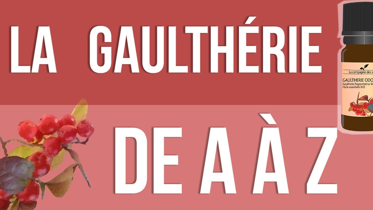[HUILES ESSENTIELLES] À la découverte de la Gaulthérie Odorante