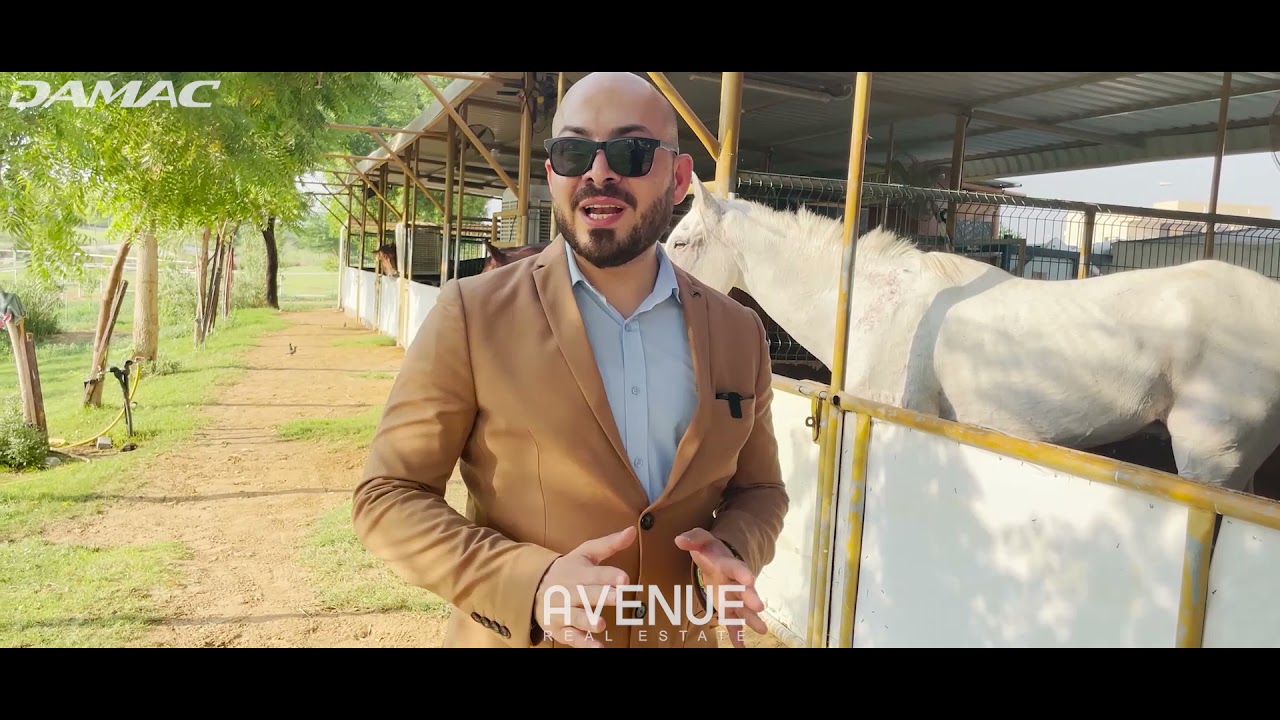 داماك هيلز افضل مكان في دبي نابض بالحياة