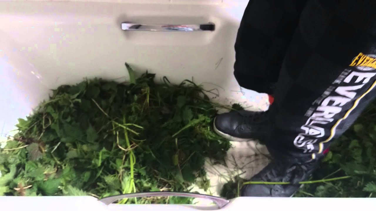 Bathing in nettles