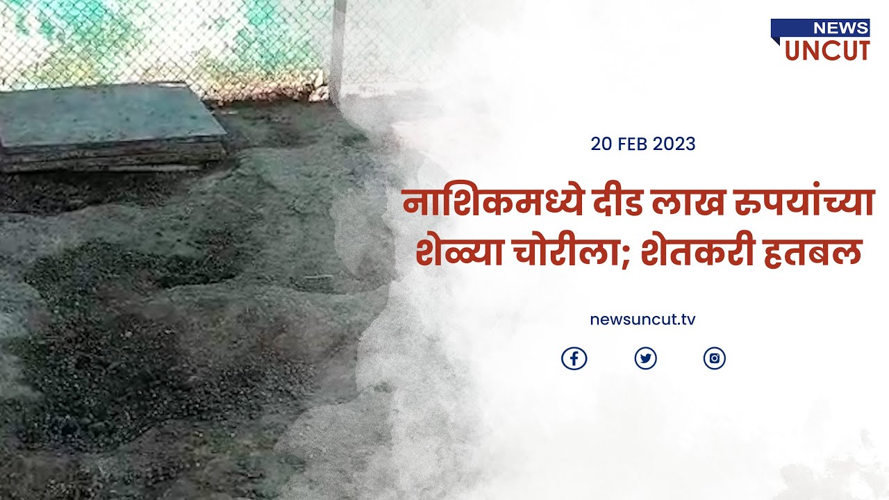Goats worth one and a half lakh rupees stolen in Nashik, farmers desperate