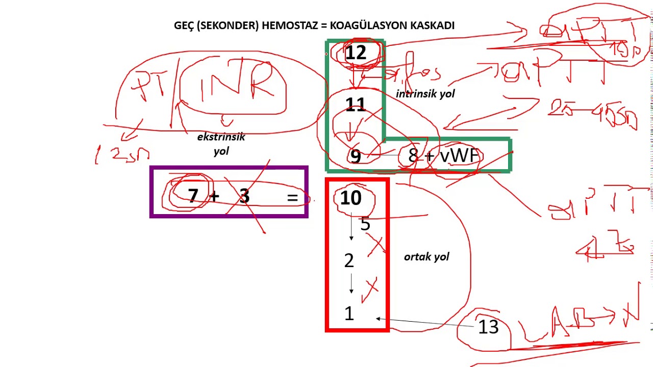 HEMOSTAZ ve KOAGÜLASYON TESTLERİ
