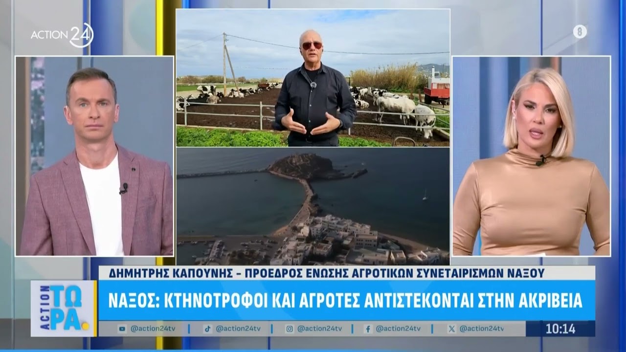Δ. Καπούνης στο Action 24: «Μάλλον οι τιμές των κρεάτων... αβγατίζουν μέσα στα ψυγεία!»