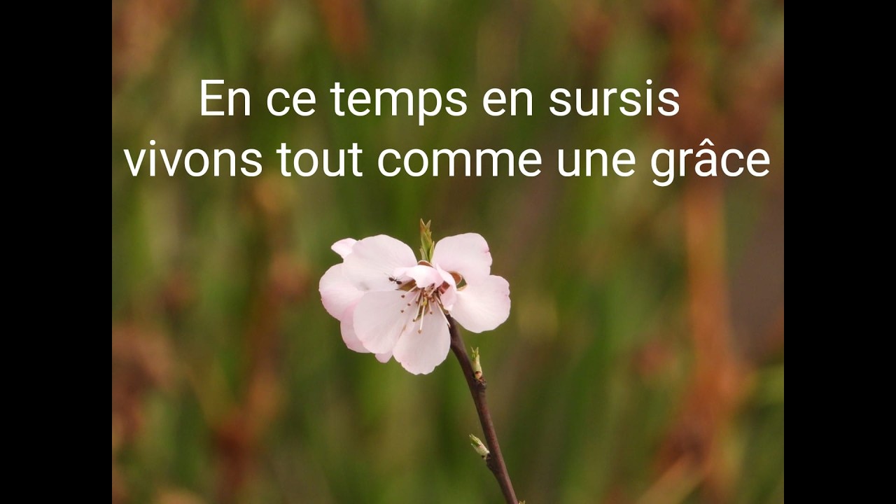 En ce temps en sursis, vivons tout comme une grâce spéciale et apprécions la vie qui nous reste...