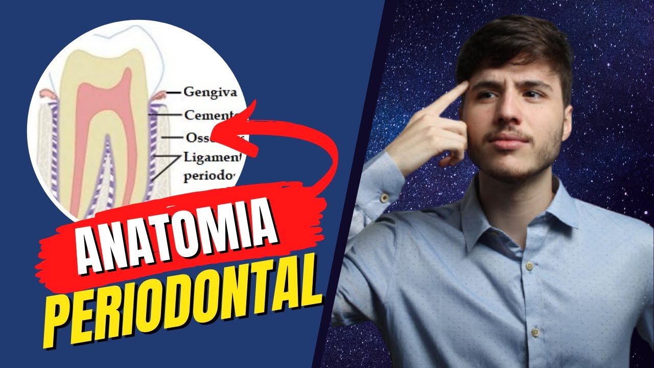 Introdu&ccedil;&atilde;o | Anatomia Periodontal | Periodontia
