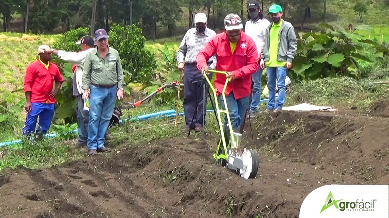 Experiencia con Sembradora de Pastos Y Hortalizas en Hogares Claret