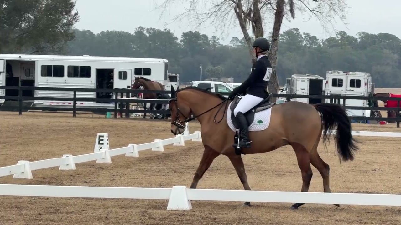 Catherine Frank Jack Sparrow Dressage 