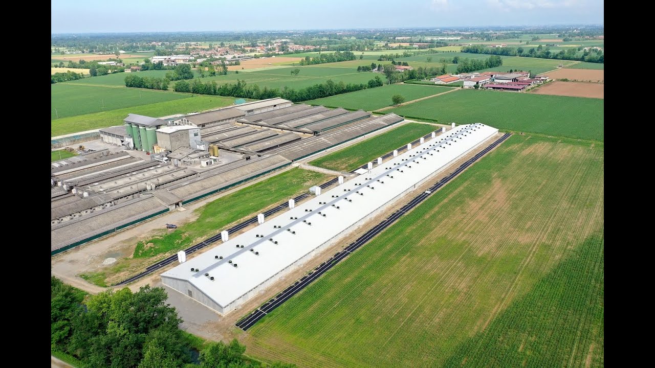 Evoteck - Capannone svezzamento L 300 m / Pig barn 300 m long / Корпус доращивания поросят дл. 300 м