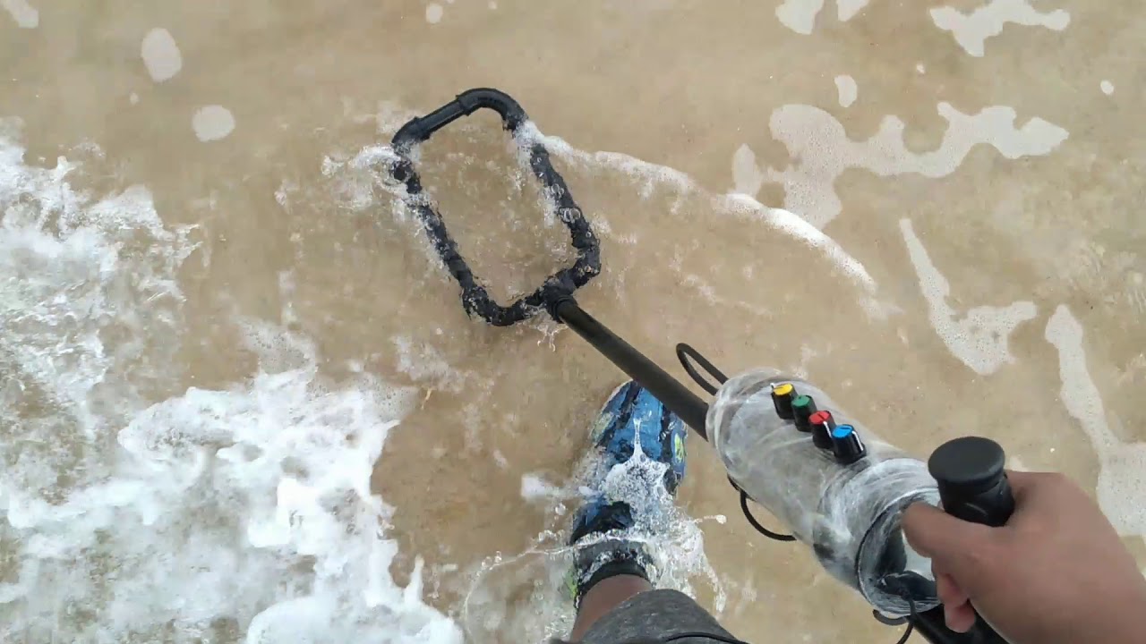Caçada com P.I  POLONÊS 2.1 o Cão das praias'