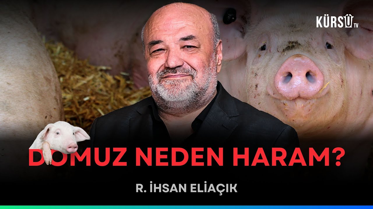 İhsan Eliaçık 'domuz neden haram' açıkladı: Aslolan domuzlaşmamak