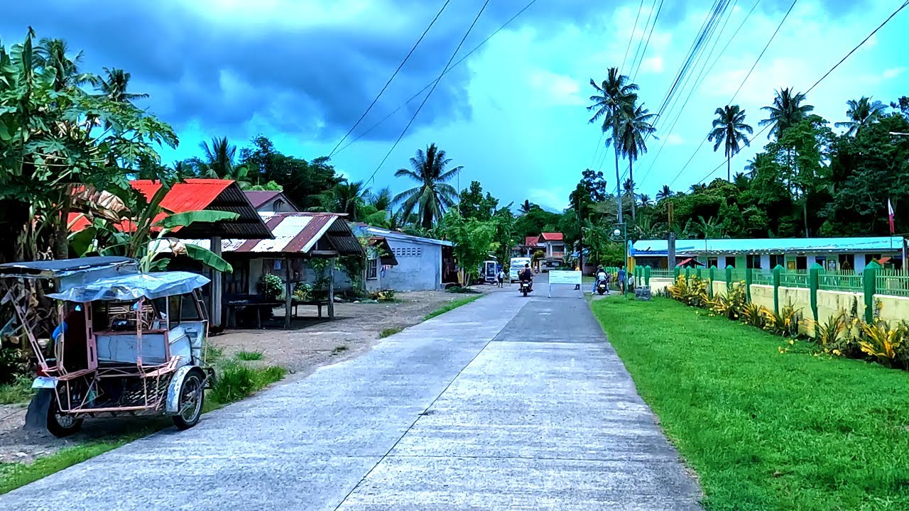 Brgy. Liwayway to Lake Danao MacArthur Leyte road trip
