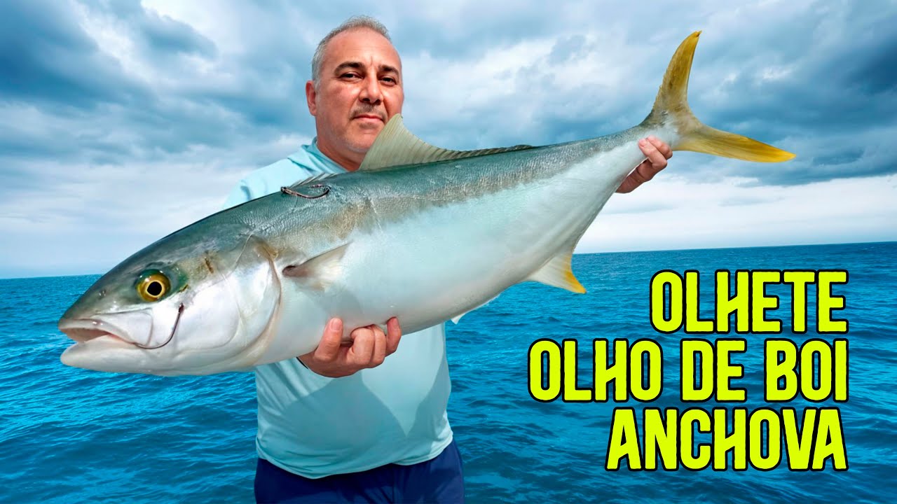 Pesca com SPEED JIGGING