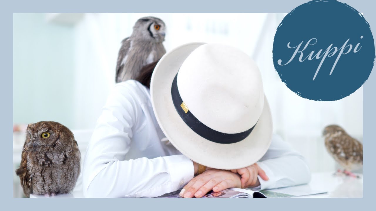 【居眠りしてたらフクロウがやって来た】アフリカオオコノハズク // 名前 : クッピー