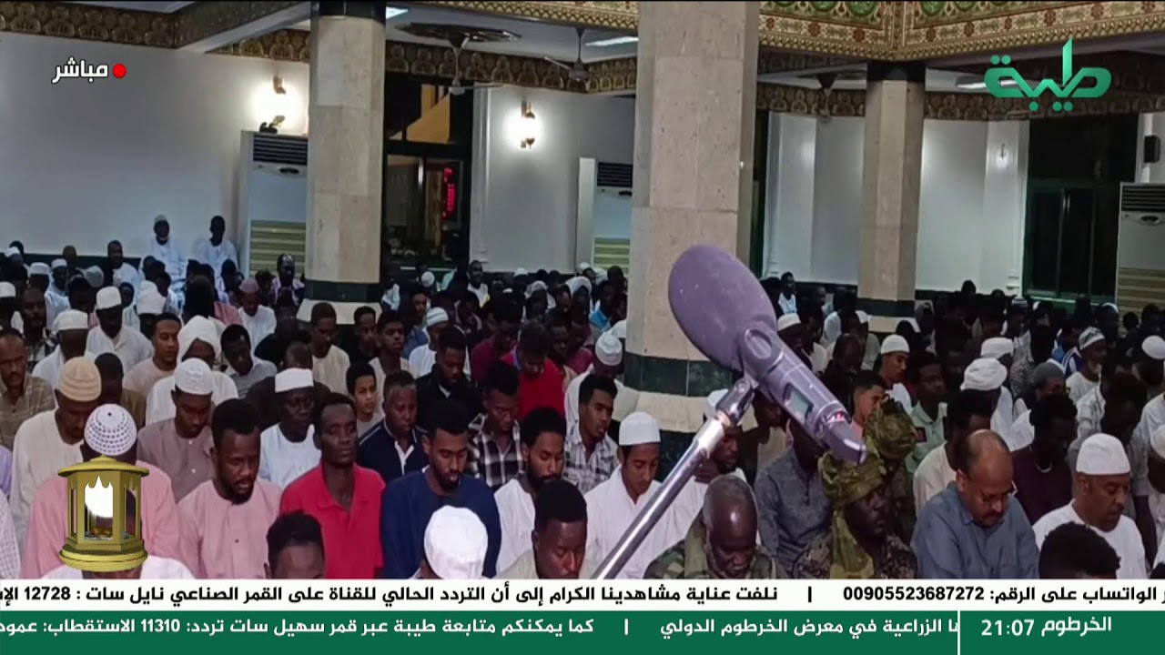 صلاة التراويح بإمامة الشيخ الزين محمد أحمد | مسجد السيدة سنهوري