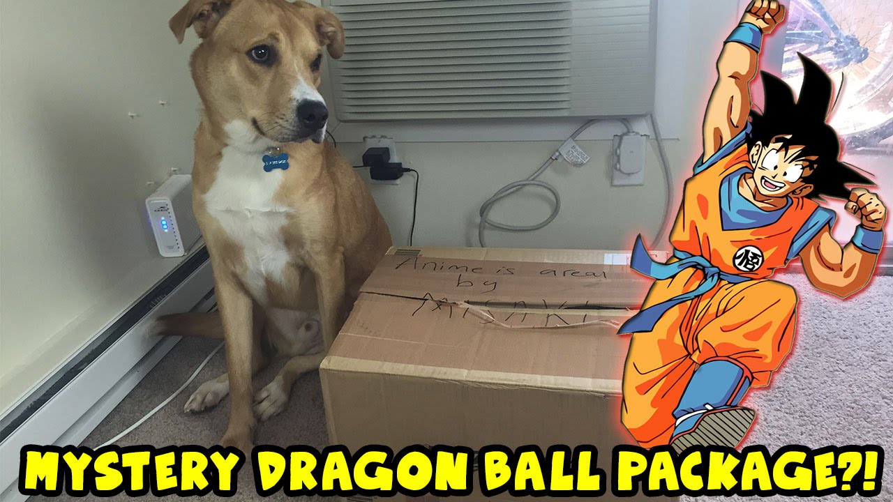 Mystery Dragon Ball Package Unboxing!!