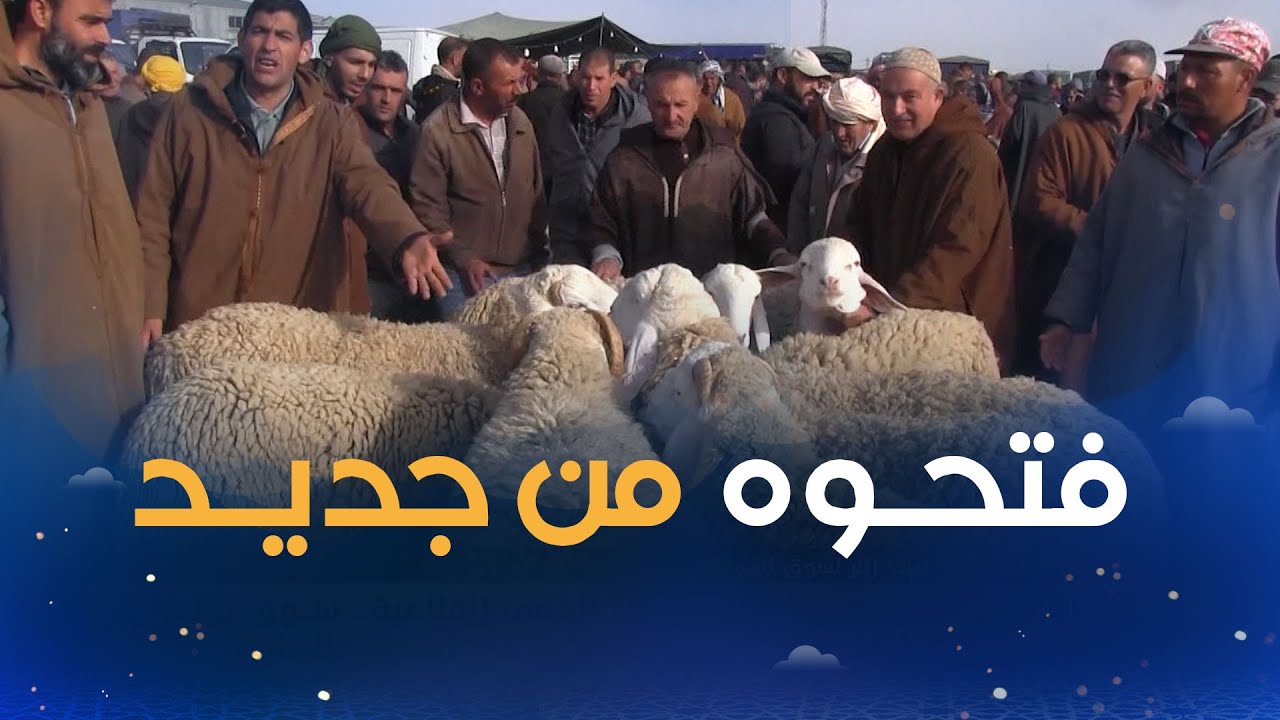 باتنة..بعد أشهر من الغلق بسبب الحمى القلاعية.. سوق بولفرايس للمواشي يفتح أبوابه وسط تباين في الأسعار