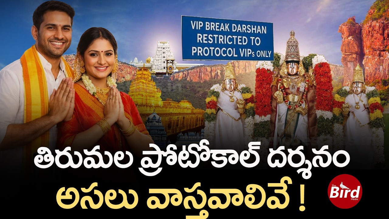 తిరుమల ప్రోటోకాల్ దర్శనం.. అసలు వాస్తవాలివే ! | Real Facts On Tirumala Protocol Darshan | Bird Media