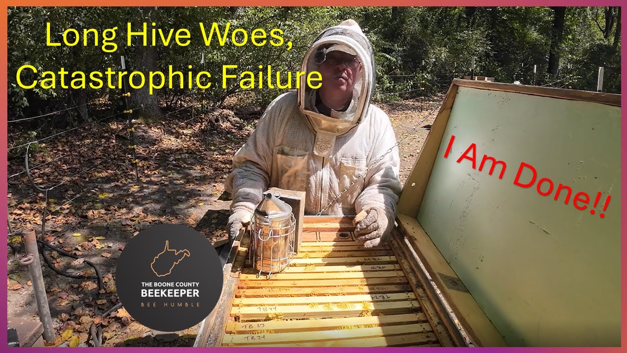 Long Hive Failure - I Quit!