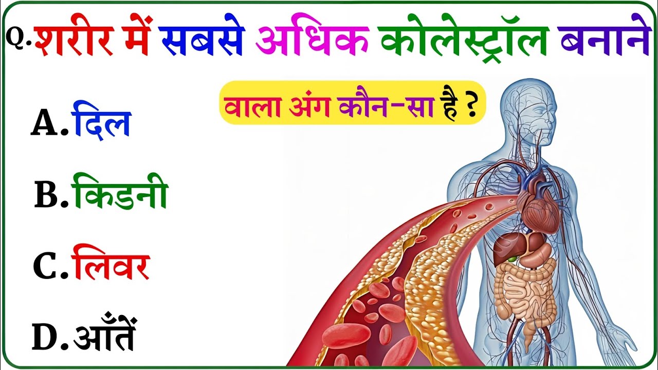 Gk Question | General Knowledge | Gk in Hindi | Gk Quiz