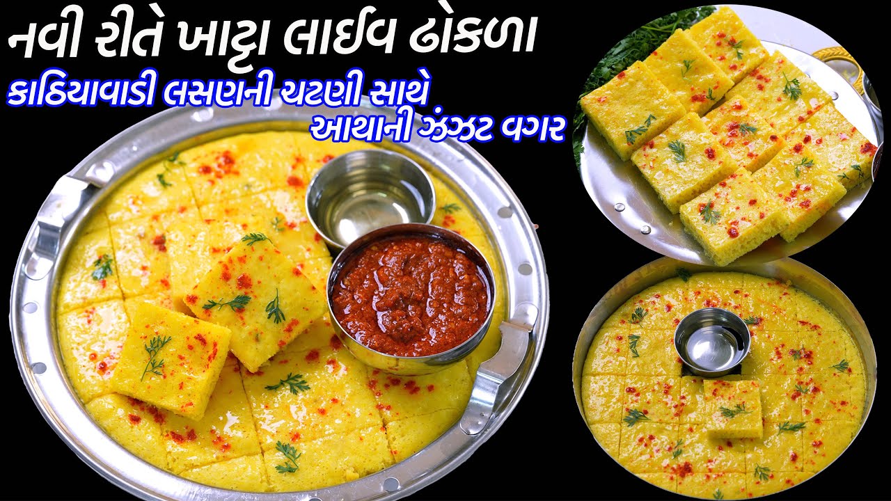 આથાની ઝંઝટ વગર દાળચોખાના નવીરીતે ખાટ્ટા લાઈવ ઢોકળા | Khatta live Dhokla Kathiyawadi Garlic Chutney