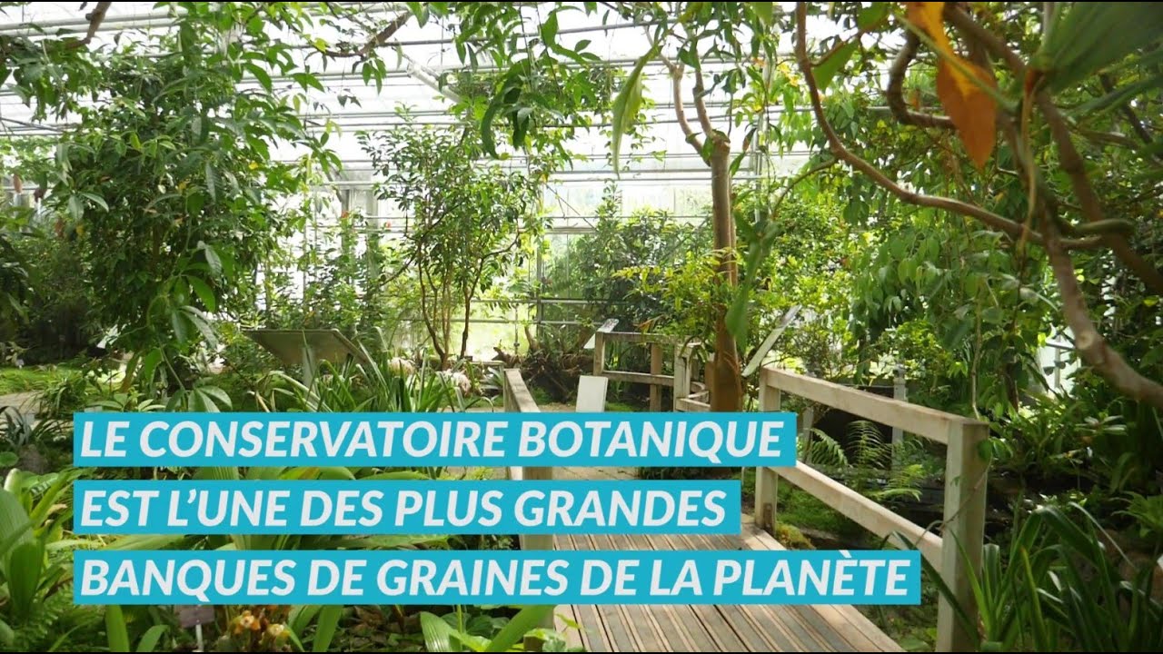 Les aventures d'Evan à Brest - Le Conservatoire Botanique National