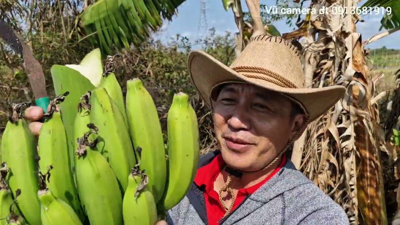 Đi thăm vườn gặp chuối chính bối quá ngon
