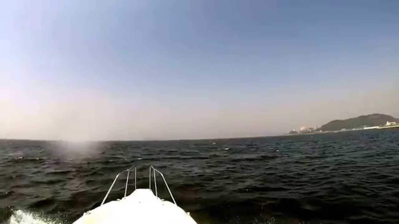 三河湾クルージング(ラグーナテンボス沖合)3