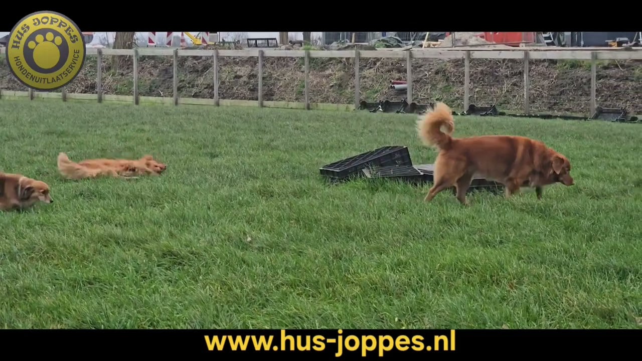 Www.hus-joppes.nl