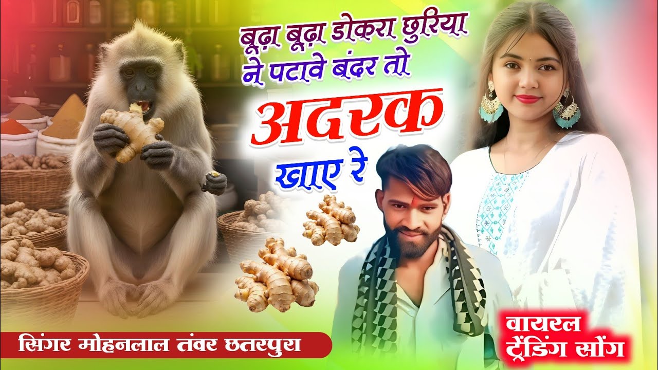 Song_(409)_बूढ़ा बूढ़ा डोकरा छुरिया ने पटावे बंदर तो अदरक खाए रे सिंगर मोहनलाल तंवर छतरपुर नया सॉन्ग