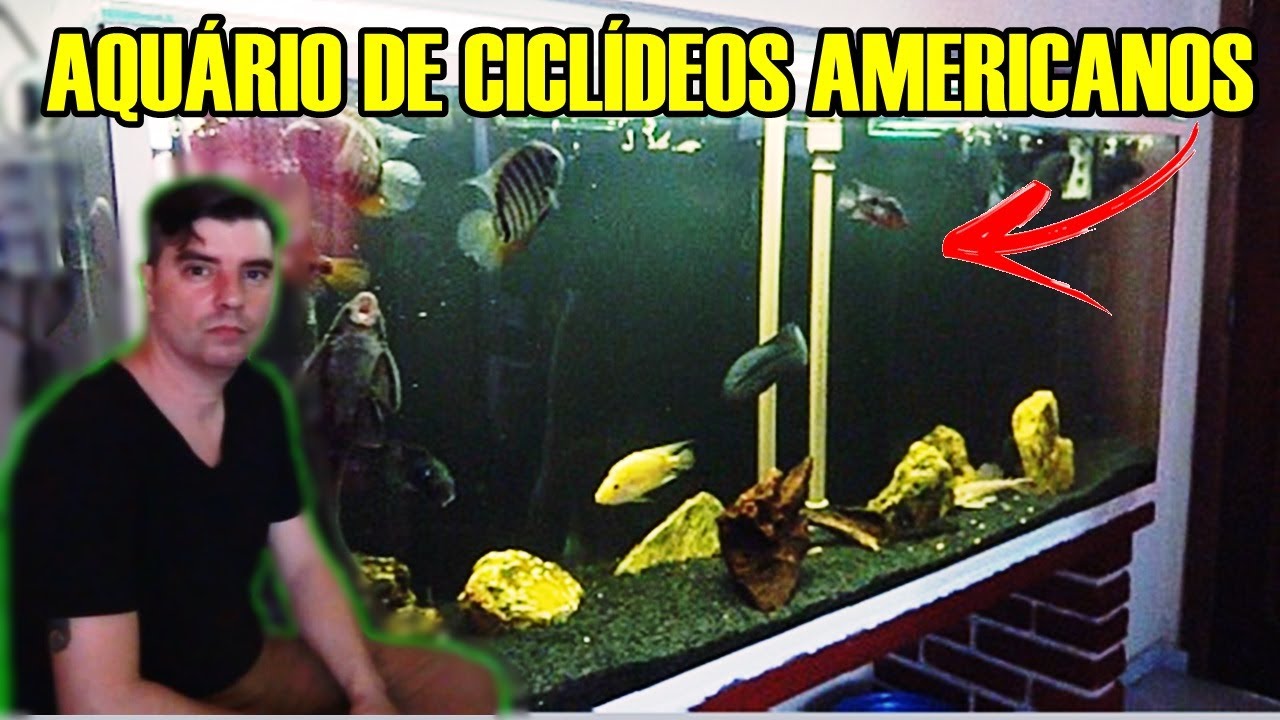 VISITEI um AQU&Aacute;RIO de CICL&Iacute;DEOS AMERICANOS de um INSCRITO!
