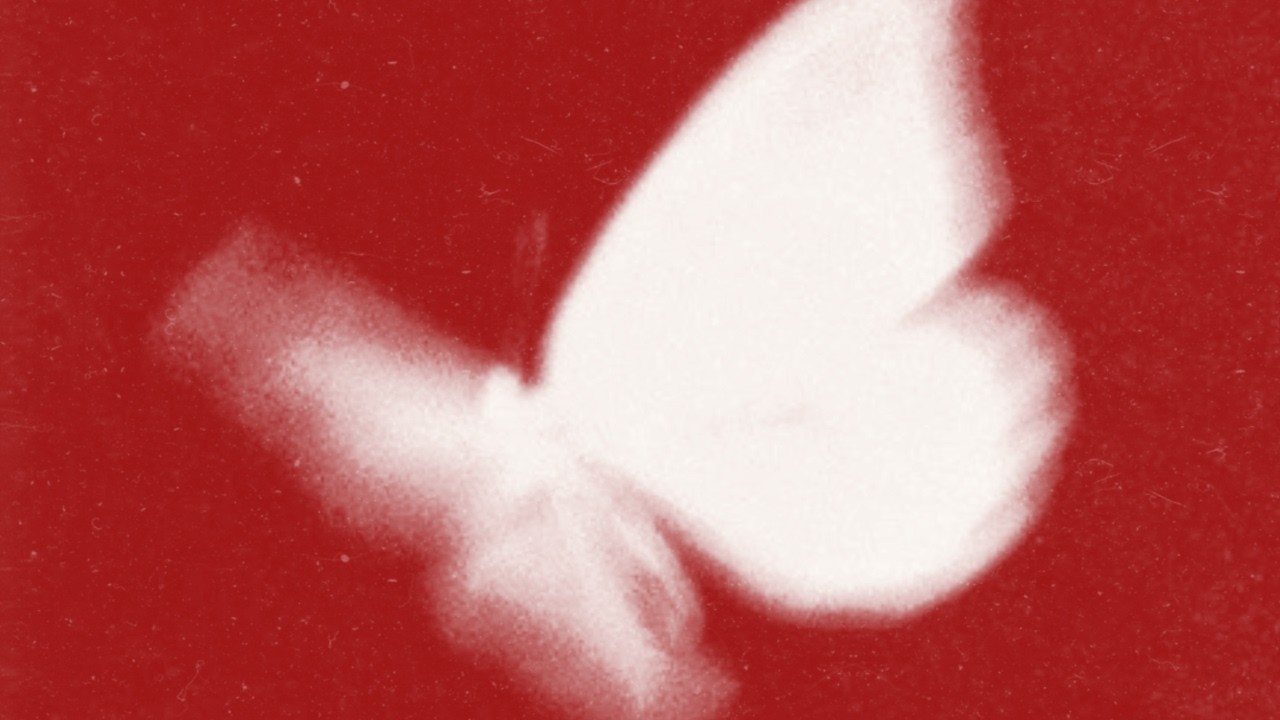 bradeazy, Crazy Town - Butterfly 2026