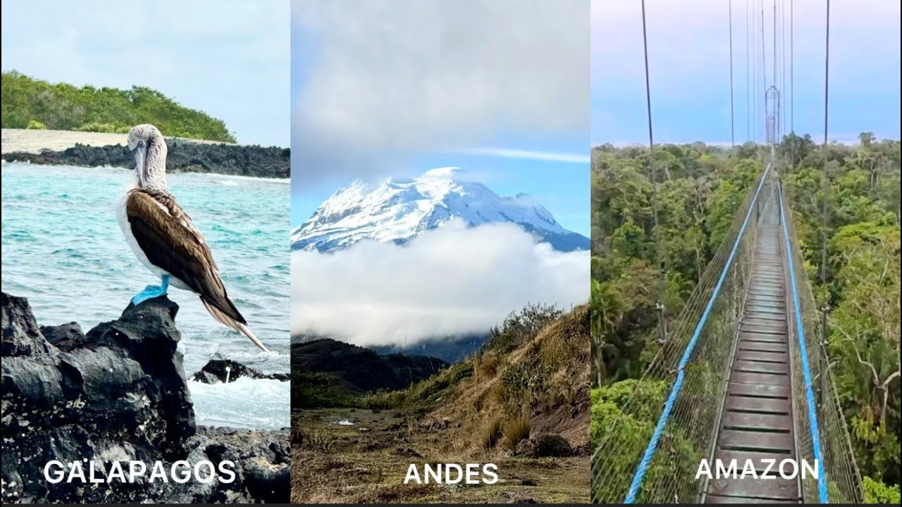 Gate 1 Galapagos & The Amazon August 11-24, 2025