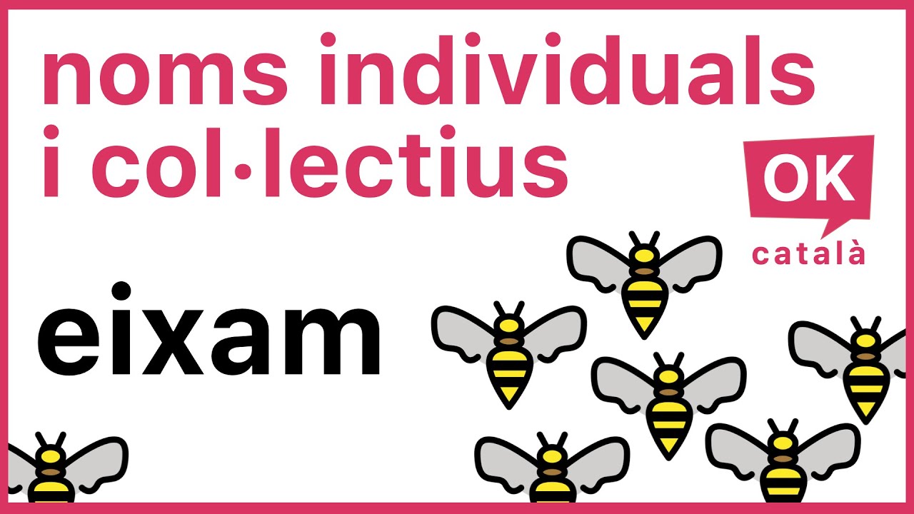 Noms individuals 🐑  i col·lectius 🐑🐑🐑  | Explicat amb exemples clars | OK CATALÀ
