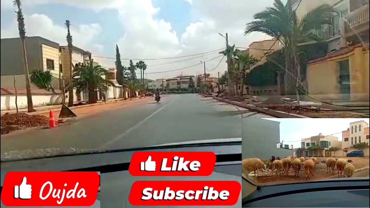 وجدة جولة في الشوارع