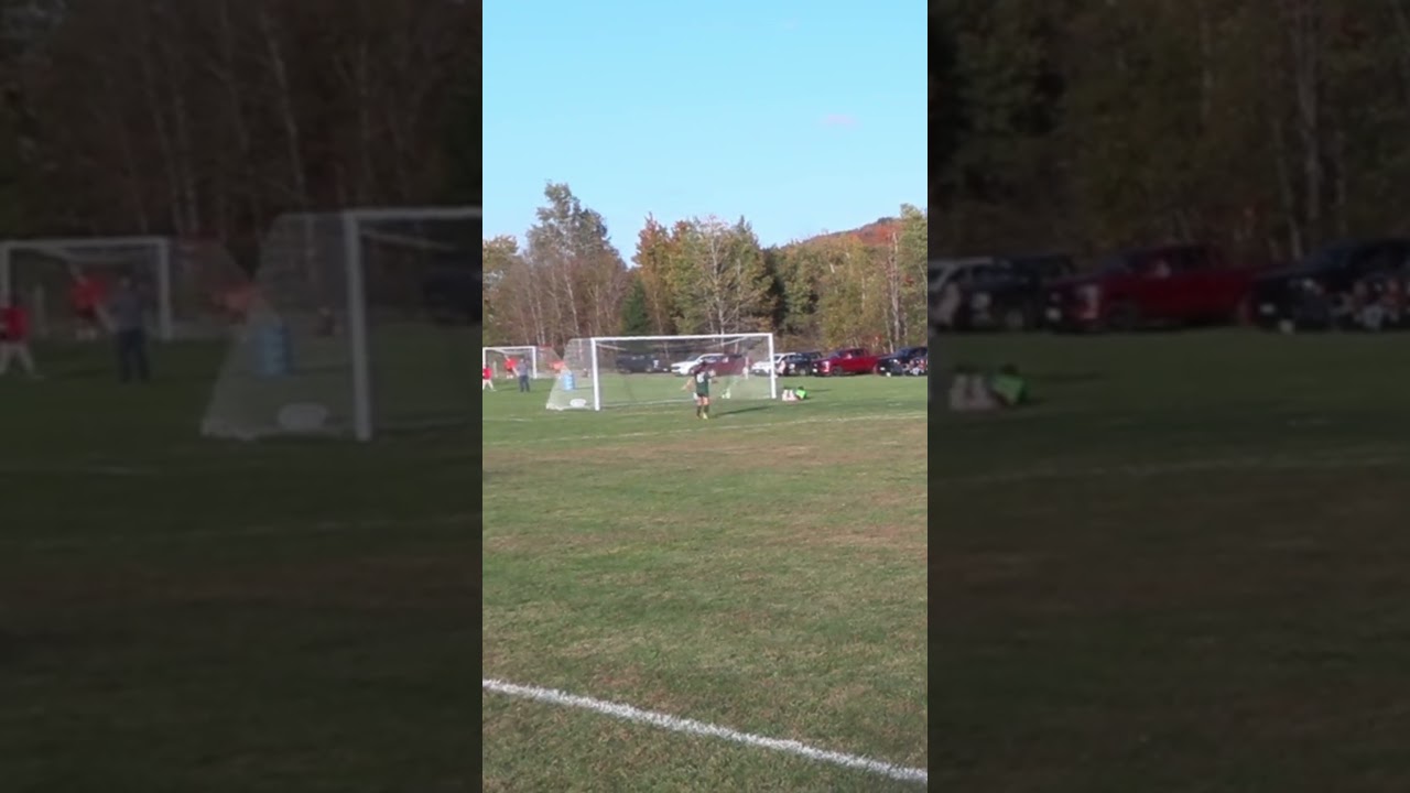 Dorman with the lone goal ||  #girlssoccer #nhiaa