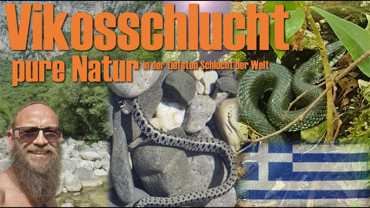 Vikosschlucht - pure Natur in der tiefsten Schlucht der Welt