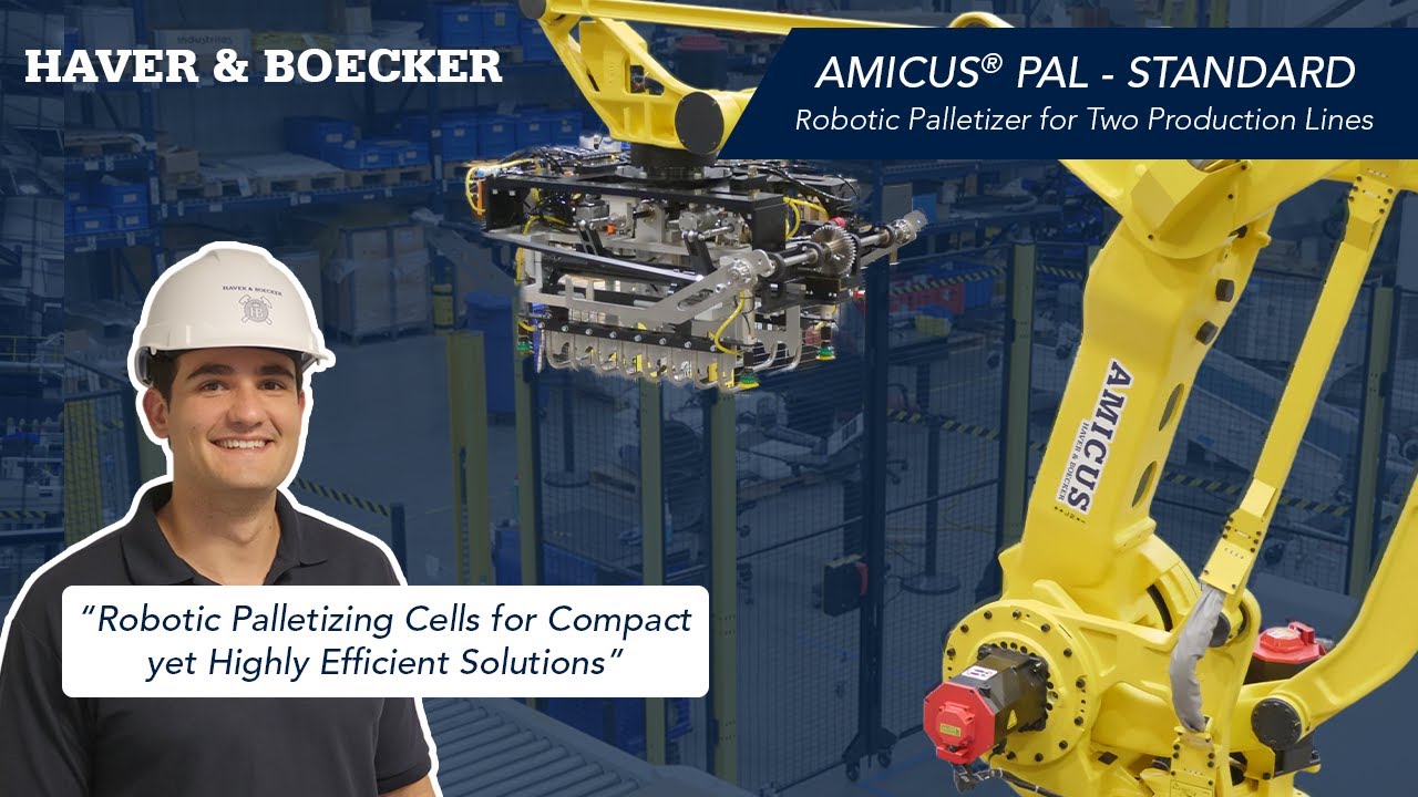 Robotic Palletizer Cell Handling Two Production Lines