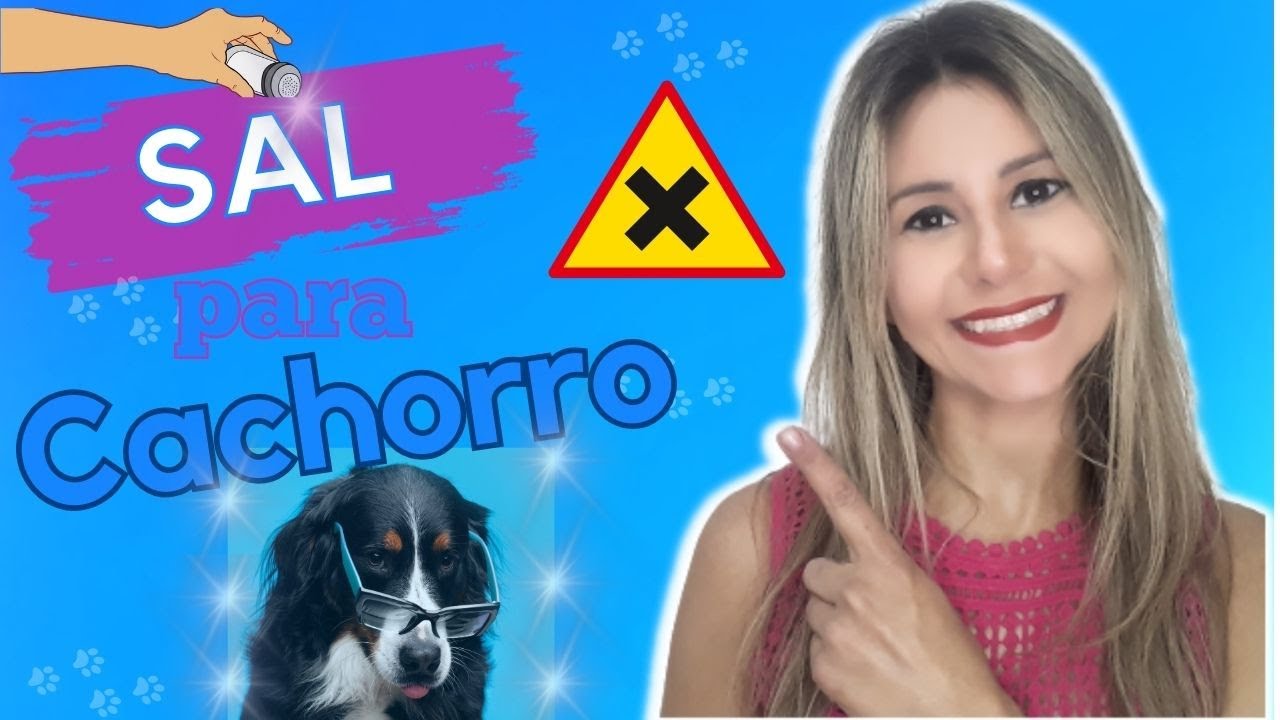 Sódio na Dieta dos Animais: O Elixir da Saúde ou uma Armadilha? Pode dar sal para cachorro?