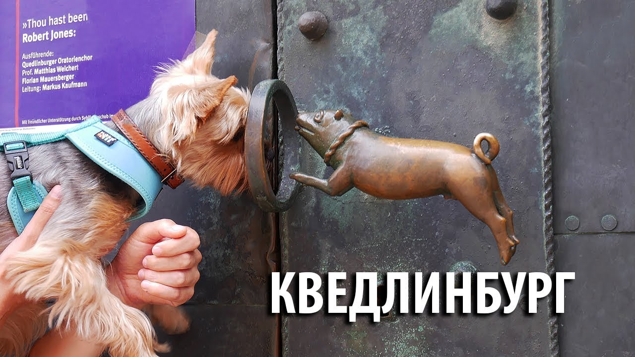 Кведлинбург, Германия / Woof travel (#путешествия с собакой на машине)