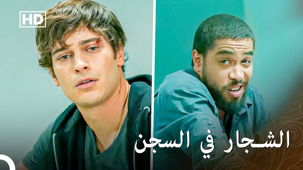 يوبخ يامان الشخص الوقح - المد والجزر