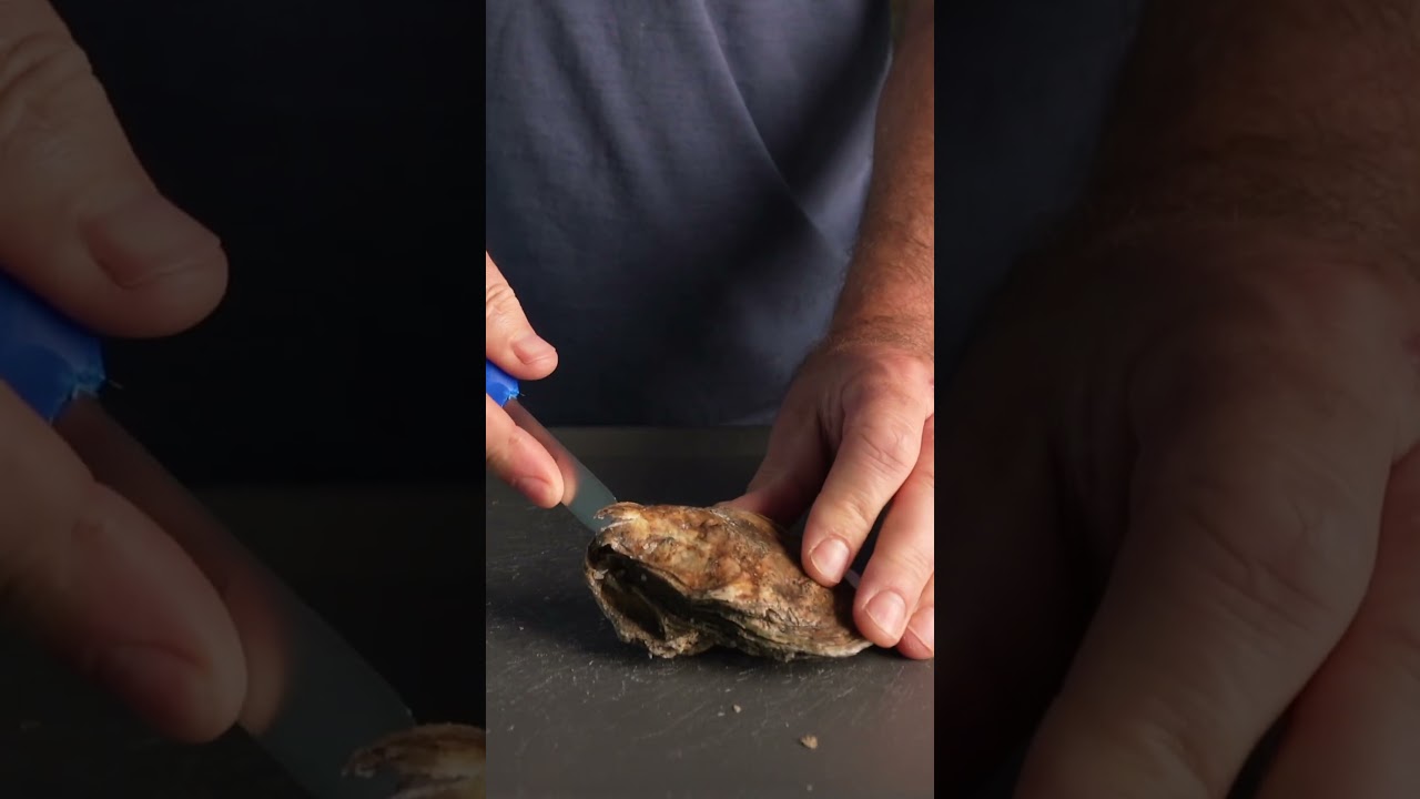 Delaware Bay Oysters? #seafood #oysters #tastetest
