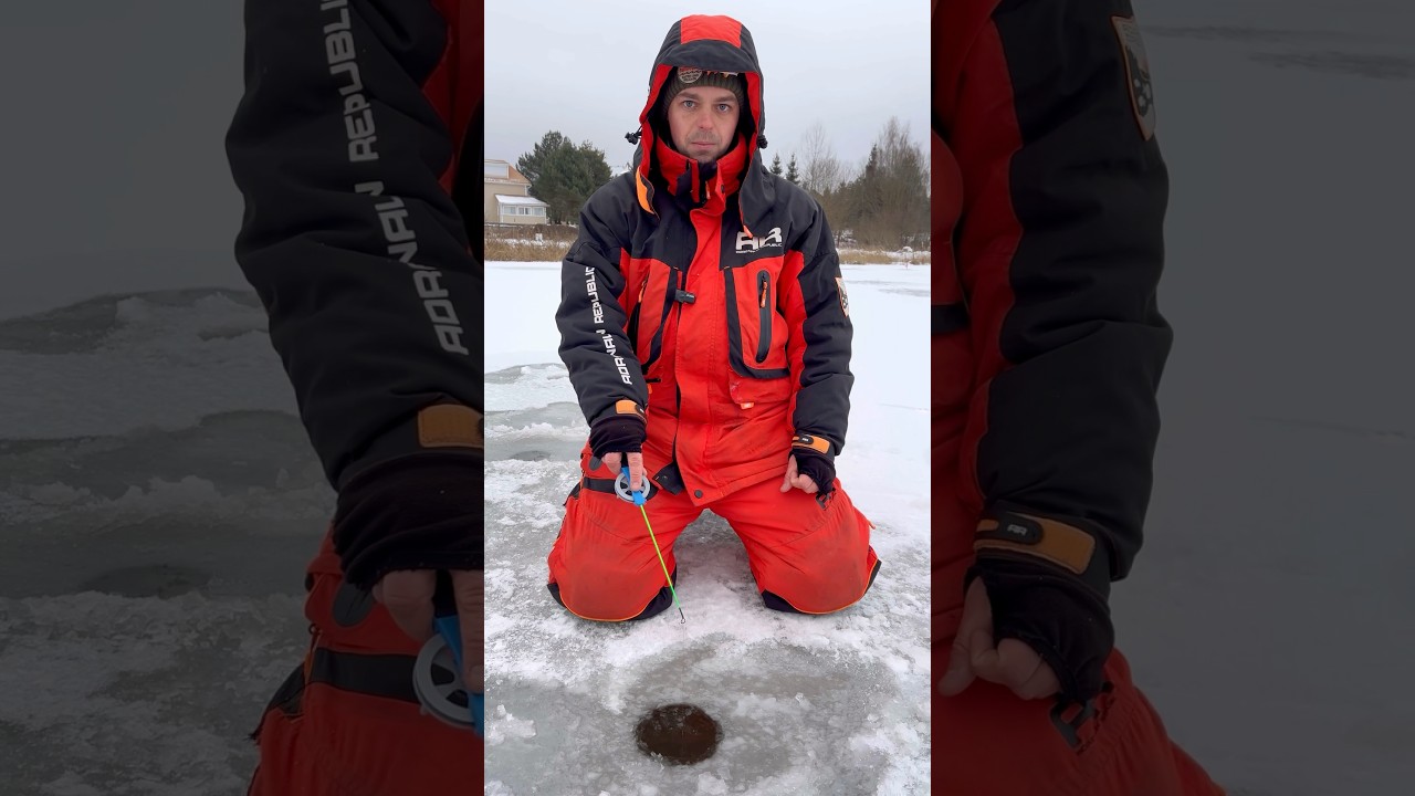 We catch perch with a winter spoon #fishing #perch #spoon