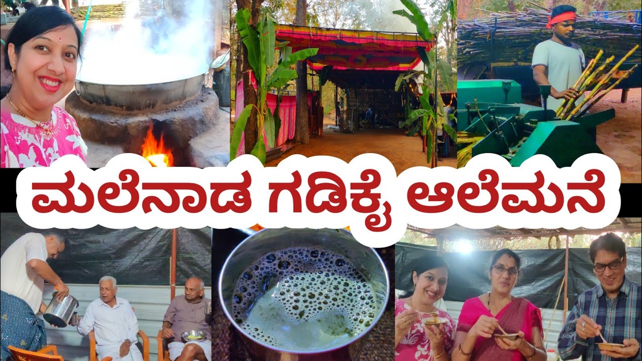 ಮಲೆನಾಡಿನ ಗಡಿಕೈ ಆಲೆಮನೆ ಸಂಭ್ರಮ | Gadikai Alemane | Malnad Alemane | The Veg Wonders 
