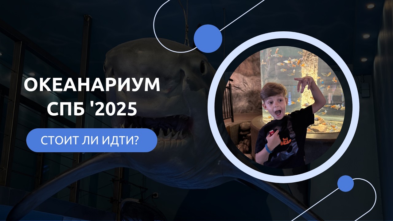 ОКЕАНАРИУМ СПб 2025  🦀 🦈 | ОБЗОР 4К | Куда пойти с ребенком в СПб?