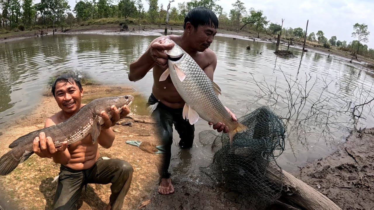 หาปลาอากาศมันร้อน