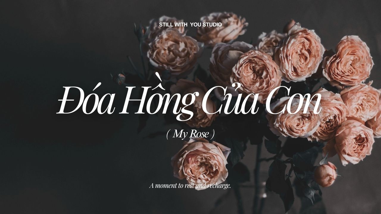 Đóa Hồng Của Con (My Rose) - Version No. 4